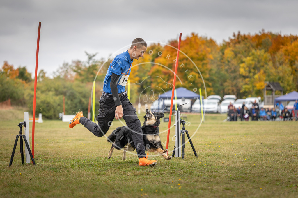 Pfotenfotografie_DV3A5235 | Hundefotografie, Tierfotograf, Pfotenfotografie, Fotoshooting Hund, Hunde Portrait, Hundesport, Hundeportraits, Heideshooting, Hunde, Sportfotograf, Hundefotograf, Turnierhundsport, THS,  - Realisiert mit Pictrs.com