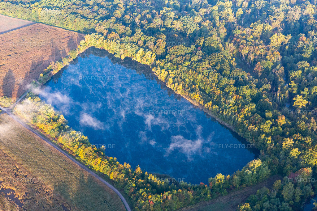 Luftbild: Frühnebel in den Rheinauen in Hördt im Bundesland Rheinland-Pfalz in Deutschland. Foto: IMG_129763.jpg vom 10.10.2021 durch Werner Riehm/FLY-FOTO.de