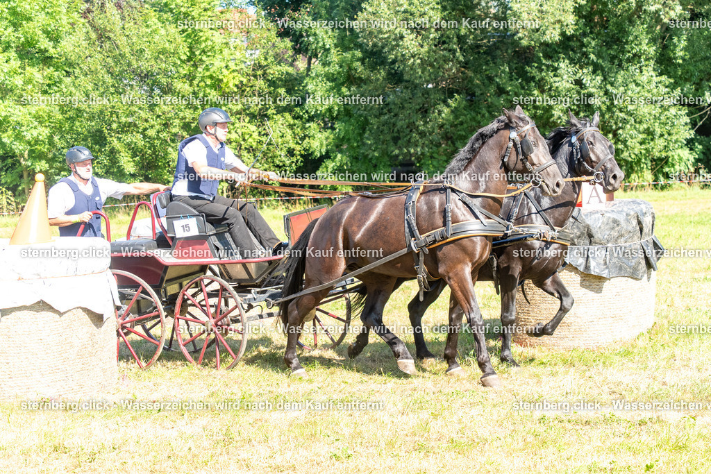 2026-08-08_14-51-02_WBO_Pulsnitz | sternberg.click - Realisiert mit Pictrs.com