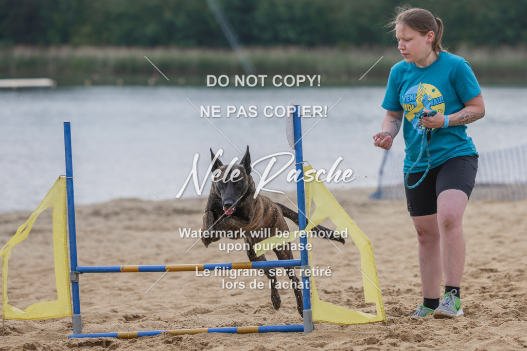 nelerasche_BuHu2026_So1530-Ende_109 | nelerasche