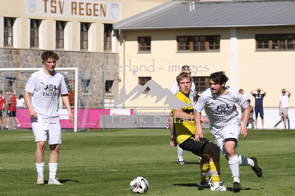 993T9202 | Medien- Sport- Entertainmentfotos