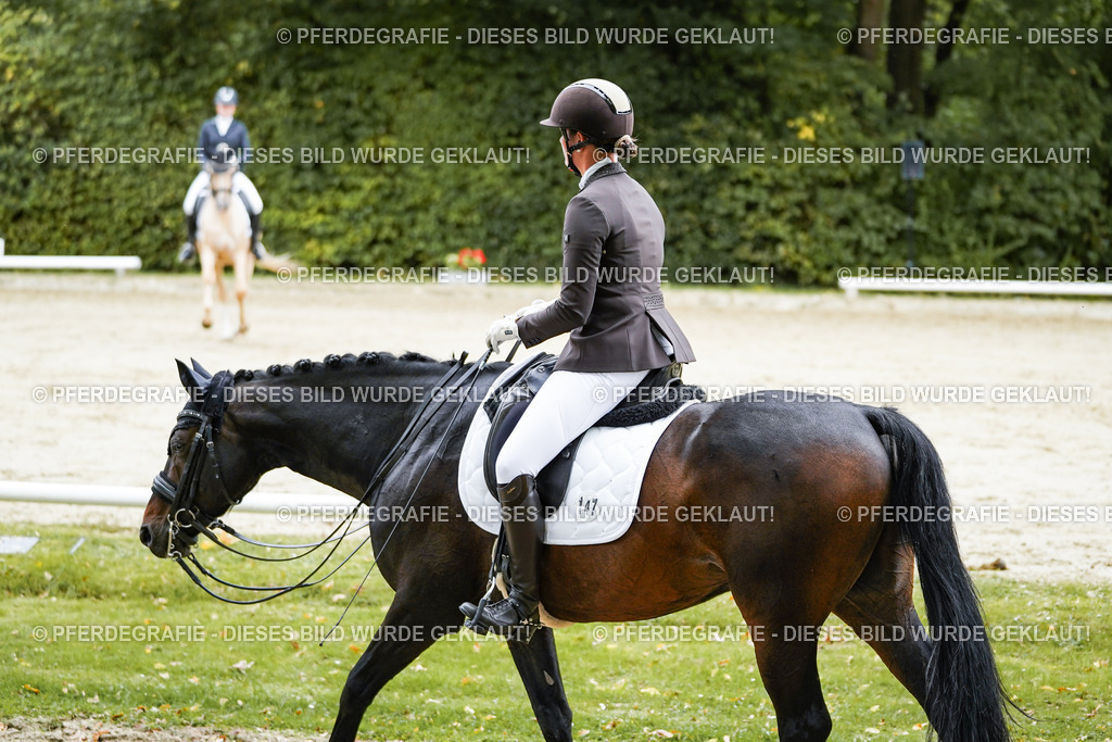 DSC08850 | Pferdegrafie