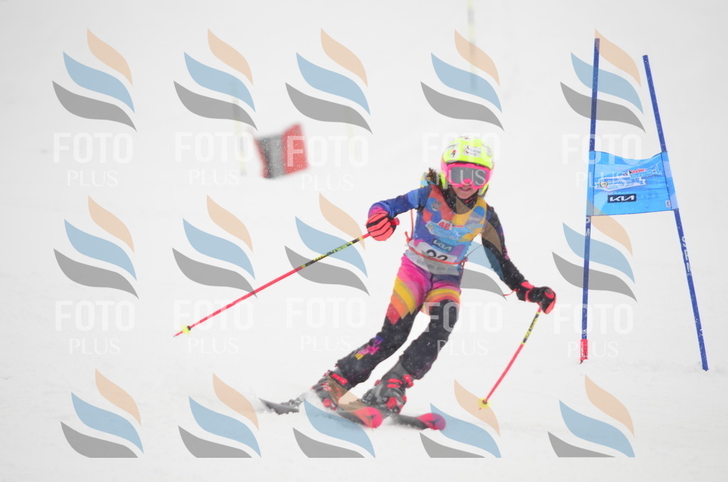 C0682 | holidayphoto