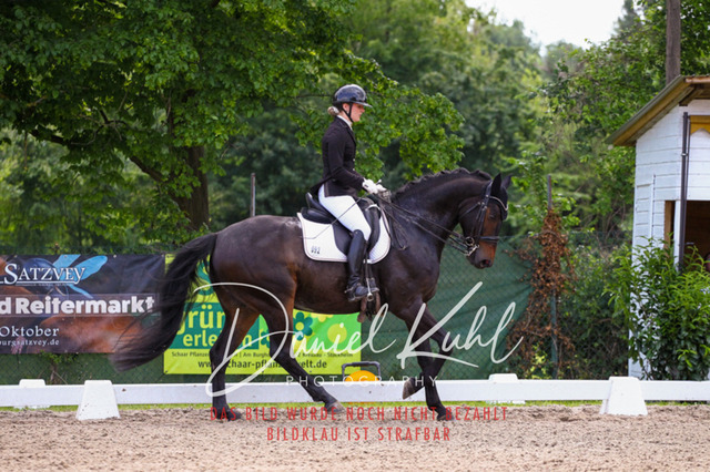 DKP41161 | Turnierfotos kaufen im Webshop von Daniel Kuhl Photography – entdecke professionelle Reitsportfotos aus Turnieren & Events. Hochwertige Turnierbilder online bestellen & sichern. Jetzt Fotos von Reitsportturnieren kaufen!
