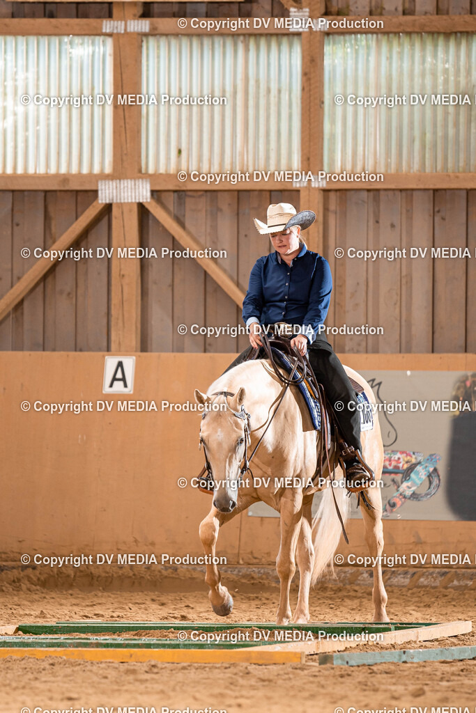 Losheim Tag 2-252 | dv-media-shop - Realisiert mit Pictrs.com