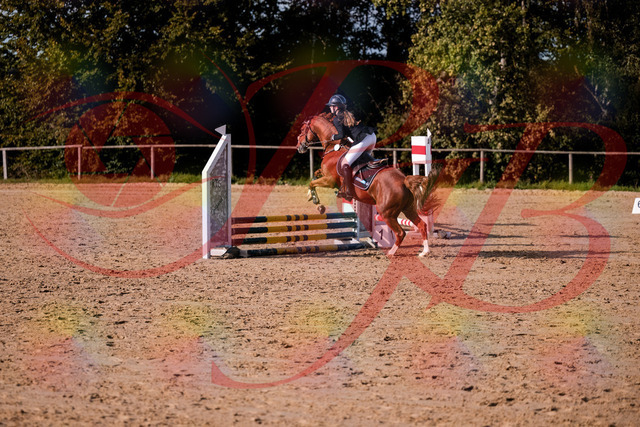 2026_10_03_Siefer-Hof_155744_Z81_77181784 | Professionelle Reitsport-, Turnier- und Eventfotografie von Robert Broda. Galerien mit ausgewählten und bearbeiteten Bildern direkt online ansehen und bestellen.