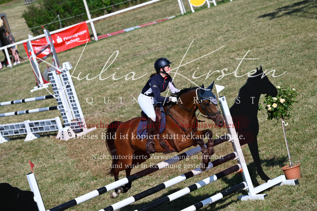 DSC_2437 | Pferde- und Turnierfotografie in Westsachsen. Pferdeportraits, Auftragszeichnungen und intuitive Kunst.