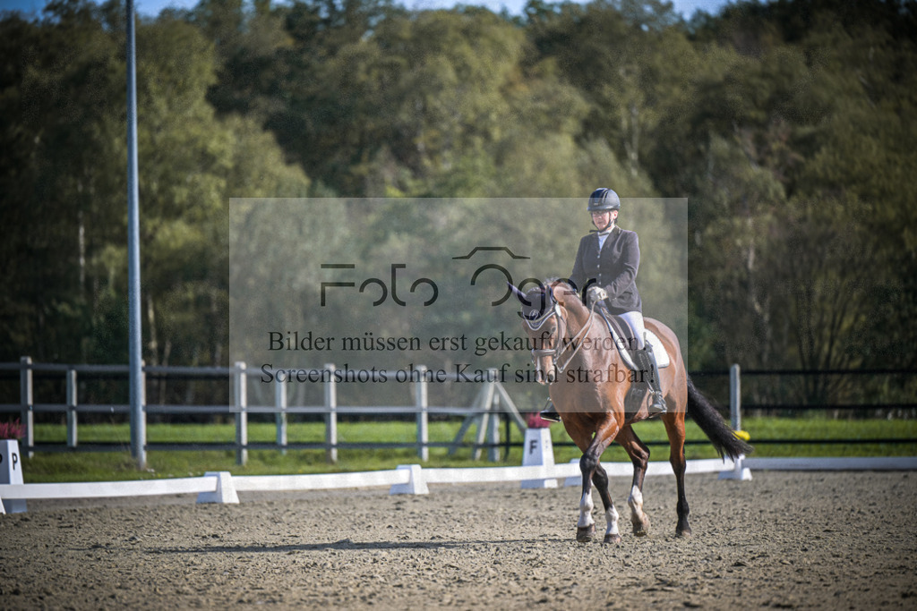 DOS_0958 | Entdecke hochwertige Reitturnierfotos von Foto Oger. Professionell, emotional und authentisch – jetzt Lieblingsmomente im Shop bestellen.Deutschlandweite Turnierfotografie. - Realisiert mit Pictrs.com