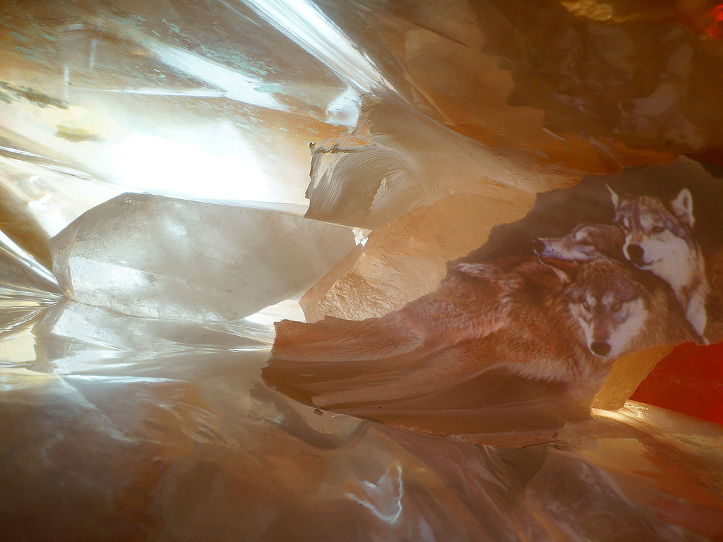 Wölfe | cornelia-geissler - Realisiert mit Pictrs.com