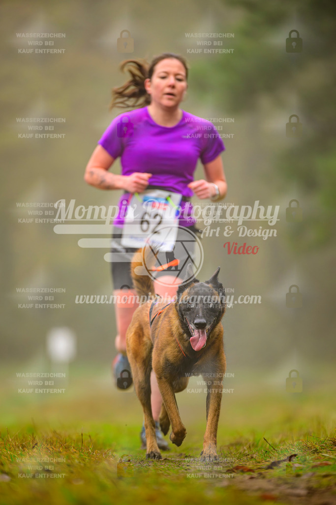 MompixPhotography_Bischwiller2025_Canicross-81 | mompixphotography
