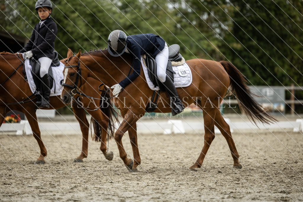 DK5A8126 | Isabel Marstall Fotografie - Realisiert mit Pictrs.com