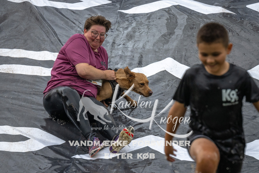 1610_ZZ92602 | kk-dogfotos