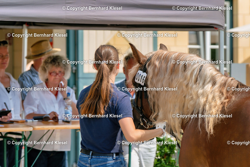 2A900098 | foto-team-bernhard - Realisiert mit Pictrs.com