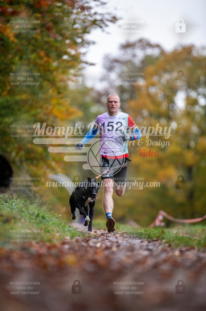 DBT_DAKM_SA_4_11_2023_Canicross-41 | PayLife