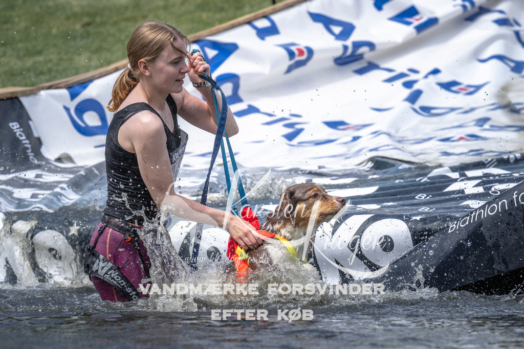 1207_ZZ95544 | kk-dogfotos