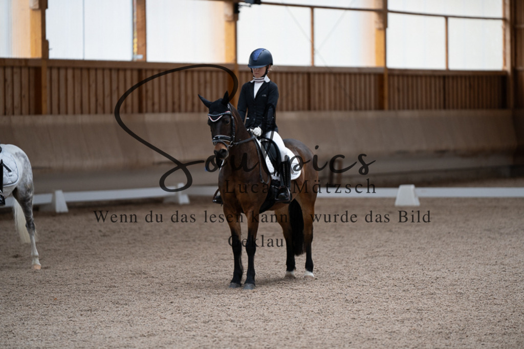 A7V02548 | Pferdefotograf