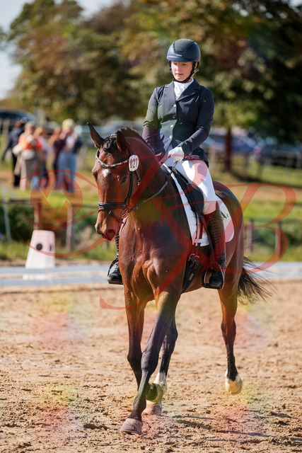2026_10_03_Siefer-Hof_125335_Z63_61528352 | Professionelle Reitsport-, Turnier- und Eventfotografie von Robert Broda. Galerien mit ausgewählten und bearbeiteten Bildern direkt online ansehen und bestellen.
