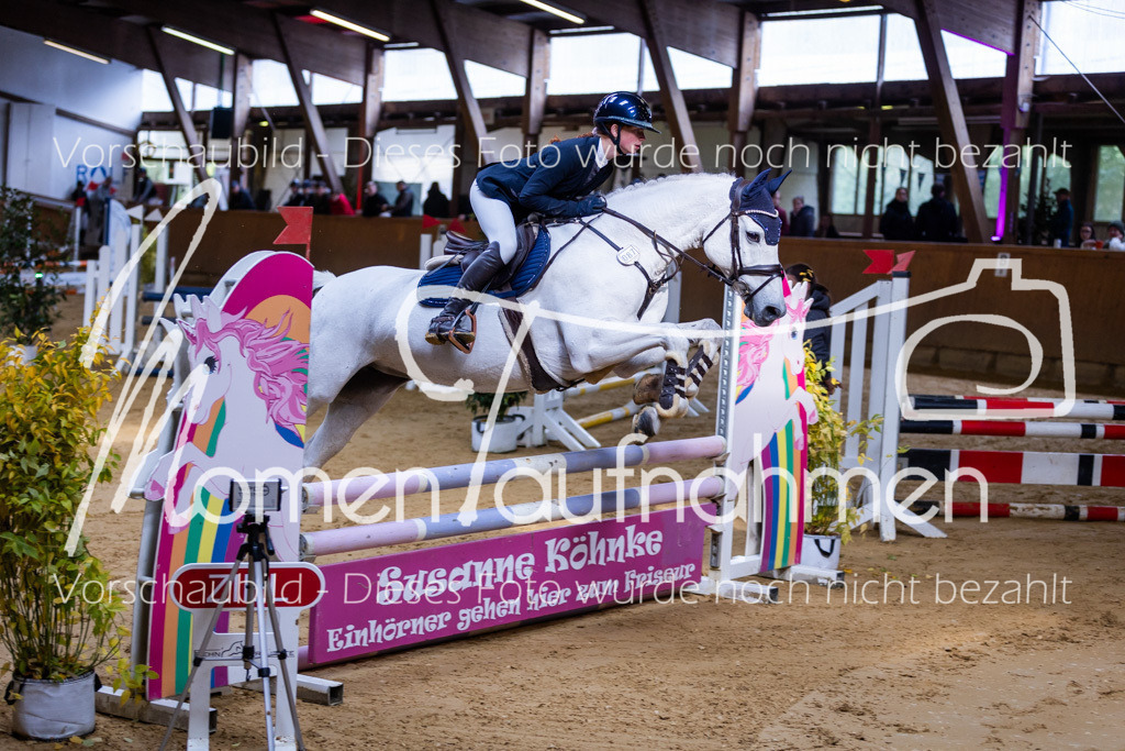 Sth-A-Springen-011 | MomenTaufnahmen Pferdesportfotos