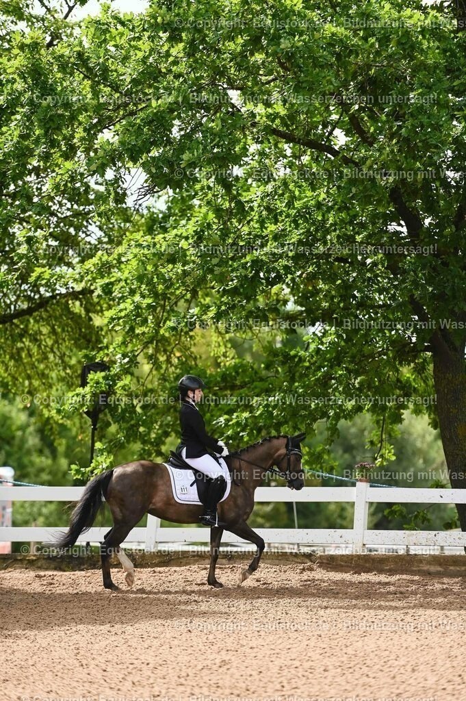 20230716_10-1_Reiter-WB Schritt - Trab - Galopp_0187 | equistock