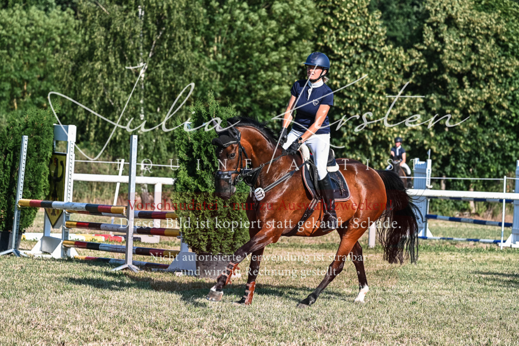 DSC_2969 | Pferde- und Turnierfotografie in Westsachsen. Pferdeportraits, Auftragszeichnungen und intuitive Kunst.