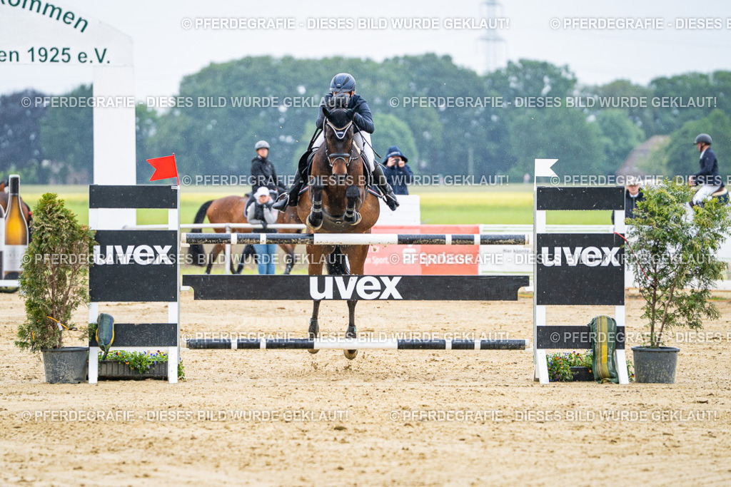 DSC08154 | Pferdegrafie