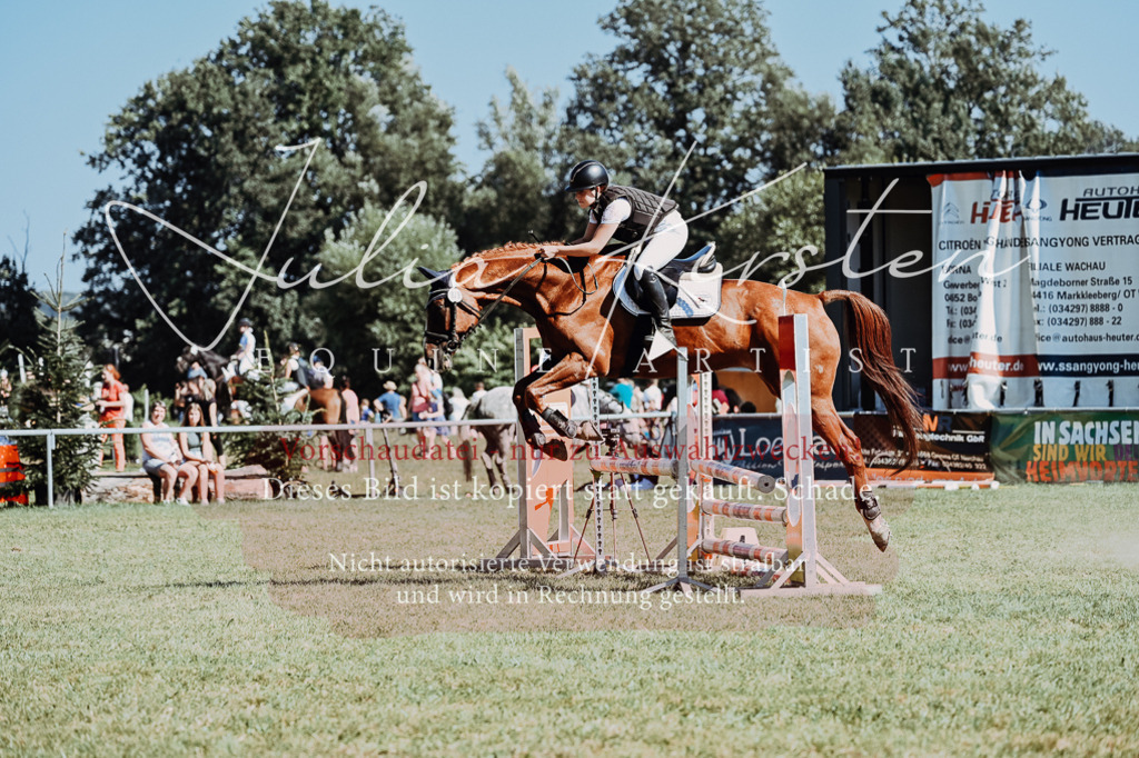 DSC_6709 | Pferde- und Turnierfotografie in Westsachsen. Pferdeportraits, Auftragszeichnungen und intuitive Kunst.