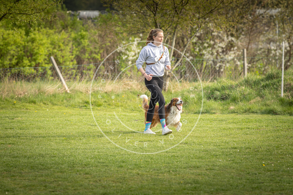 Pfotenfotografie_DV3A4953 | Hundefotografie, Tierfotograf, Pfotenfotografie, Fotoshooting Hund, Hunde Portrait, Hundesport, Hundeportraits, Heideshooting, Hunde, Sportfotograf, Hundefotograf, Turnierhundsport, THS,  - Realisiert mit Pictrs.com