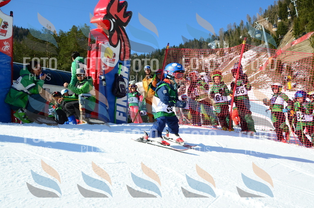 C4930 | holidayphoto