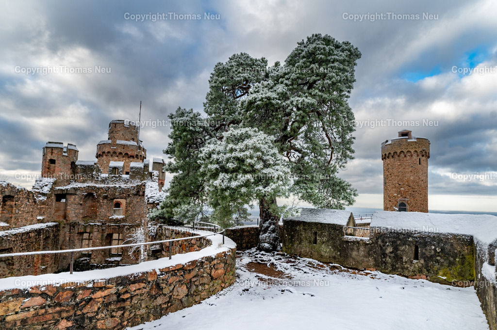 Winter-Schloss-Auerbach-Thomas_Neu_Fotografie-15 | Winterzauber auf Schloss Auerbach: Die historische Burgruine hoch über der Bergstraße zeigt sich im Schnee von ihrer beeindruckendsten Seite. Der Blick über die Rheinebene, der mächtige Wehrturm und die markante Schwarzkiefer machen das Schloss zu einem der schönsten Wintermotive im Odenwald. Entdecken Sie die faszinierende Kombination aus Geschichte, Natur und einzigartiger Winteratmosphäre., Bild: Thomas Neu