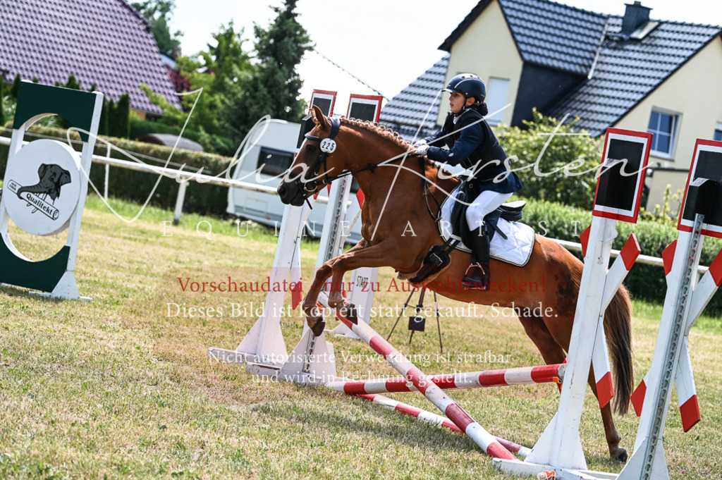 DSC_9667 | Pferde- und Turnierfotografie in Westsachsen. Pferdeportraits, Auftragszeichnungen und intuitive Kunst.