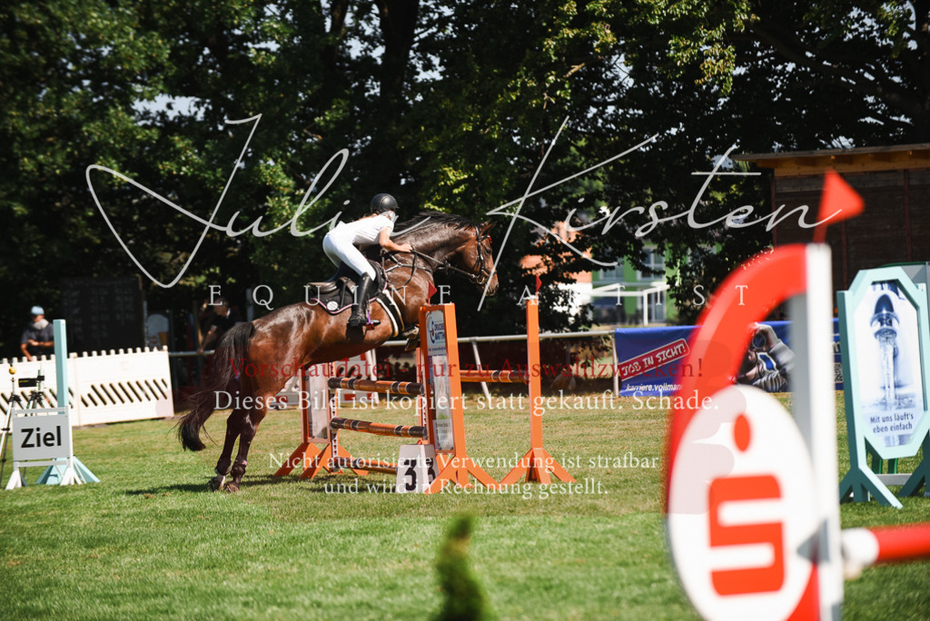 DSC_2723 | Pferde- und Turnierfotografie in Westsachsen. Pferdeportraits, Auftragszeichnungen und intuitive Kunst.