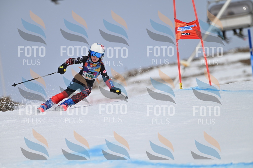 BGV_3803 | holidayphoto