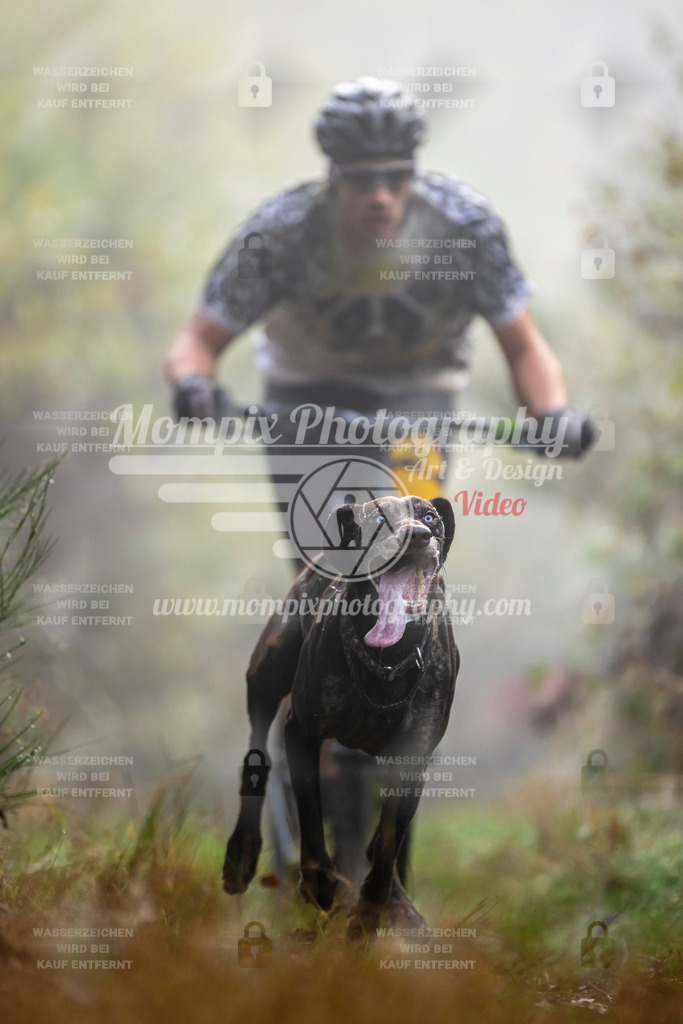 MompixPhotography_20TSB_E4_DS1-3 | PayLife
