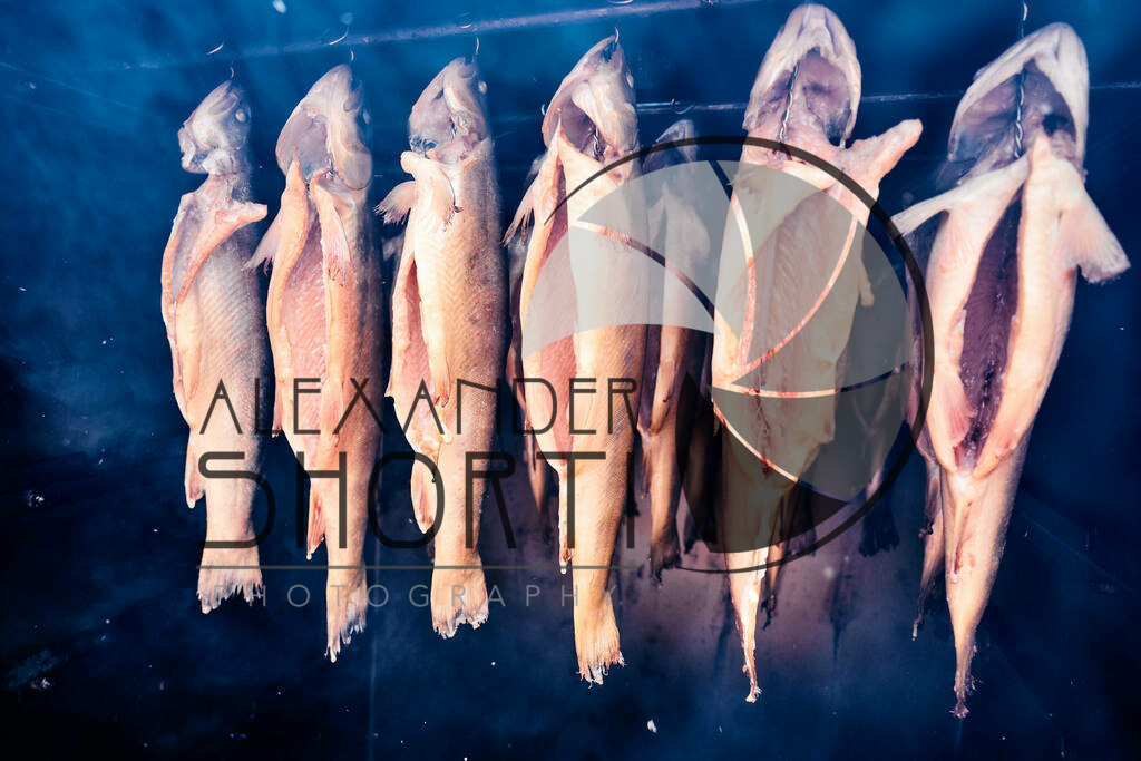 075_FoodRock_2023_04_Najib | alexandershorti - Realisiert mit Pictrs.com