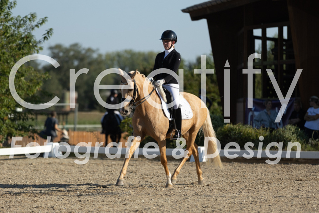 IMG_1003 | Creatify Fotografie