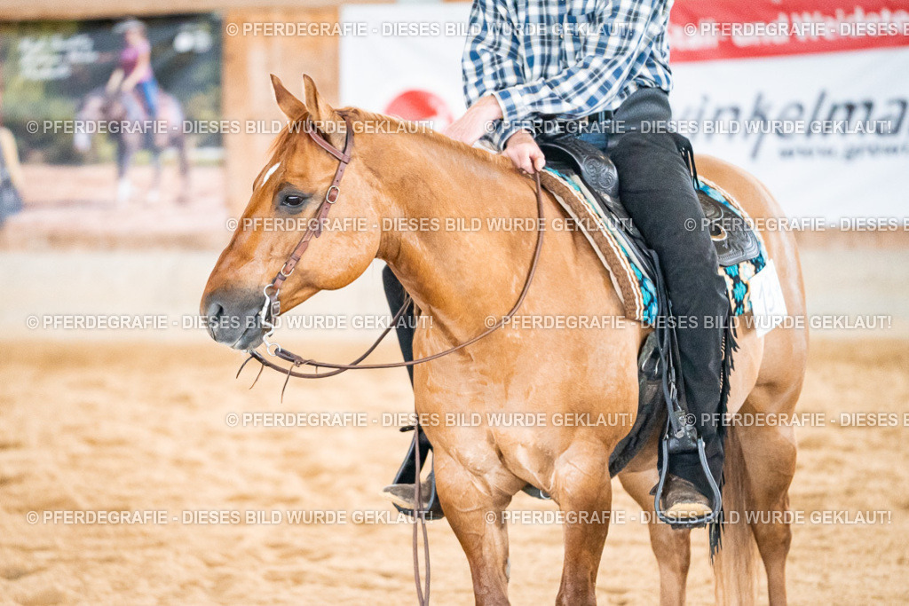 DSC01105 | Pferdegrafie