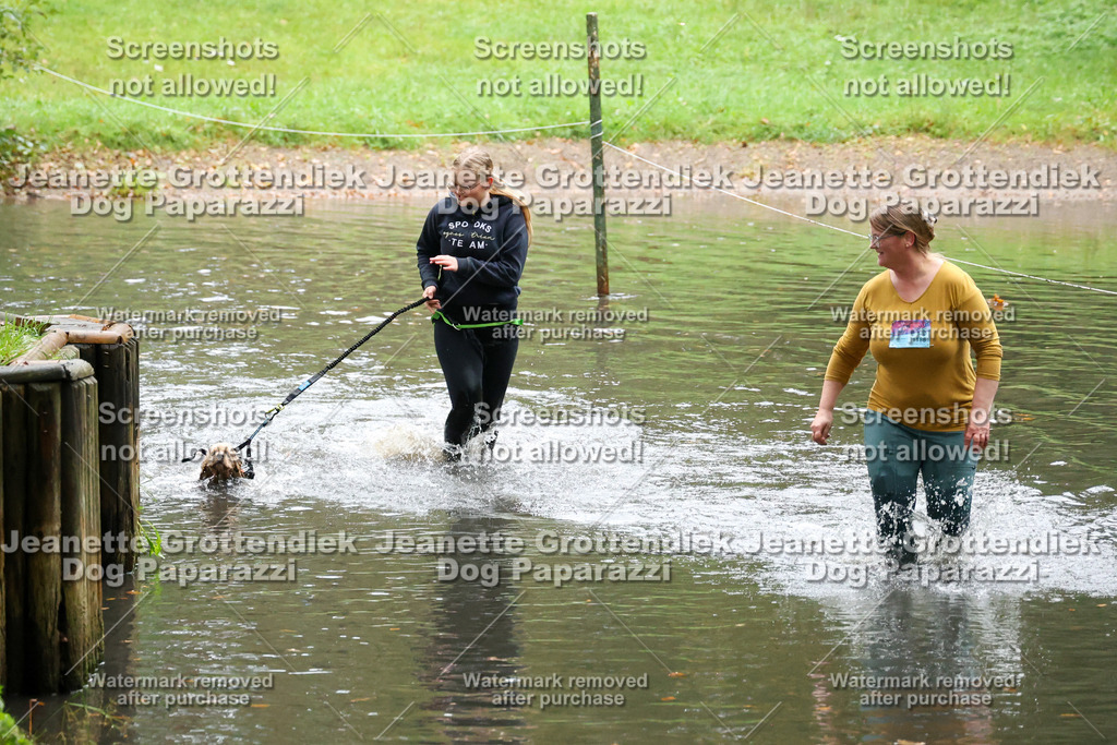 Dog Paparazzi -  SD1026-8452 | Dog Paparazzi Jeanette Grottendiek Fotografie & Videografie - Realisiert mit Pictrs.com