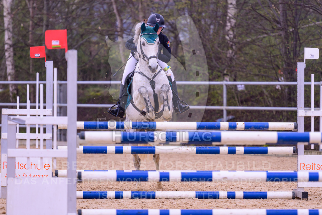 12042026-Mammendorf-Prfg41-0162 | Fokus Hufschlag Fotografie - Realisiert mit Pictrs.com