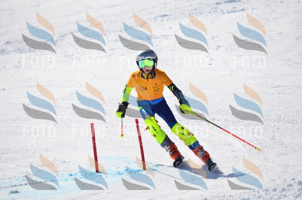 C9684 | holidayphoto