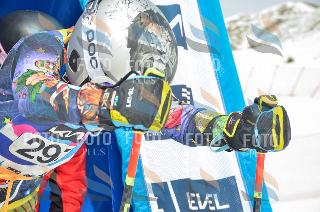 _ELE8187 | holidayphoto