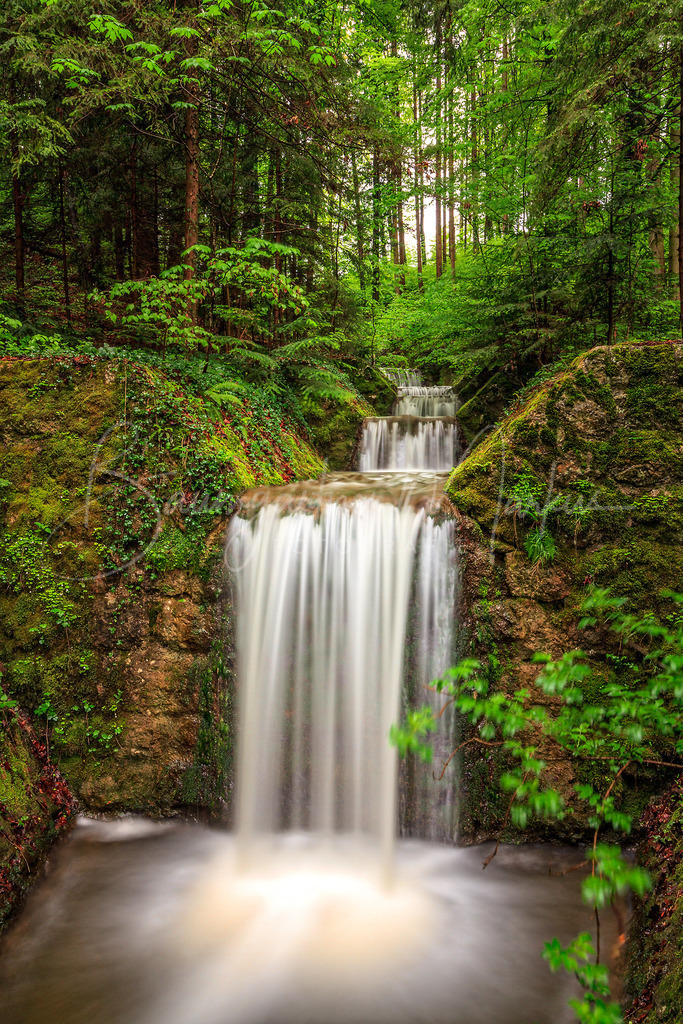 Högelwörther-See-Anger_20150503_1433310073-web | Baumgartner Markus Fotografie