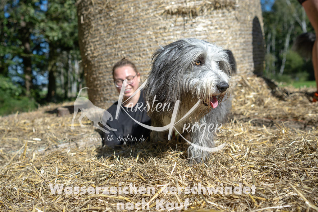 1209_ZZ90584-2 | kk-dogfotos