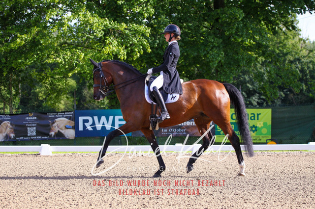 DKP41559 | Turnierfotos kaufen im Webshop von Daniel Kuhl Photography – entdecke professionelle Reitsportfotos aus Turnieren & Events. Hochwertige Turnierbilder online bestellen & sichern. Jetzt Fotos von Reitsportturnieren kaufen!