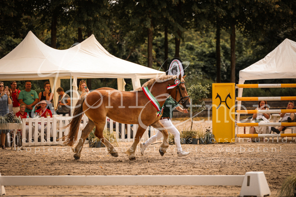 SaSieger00058 | Leoni Ertmer Photography - Realisiert mit Pictrs.com