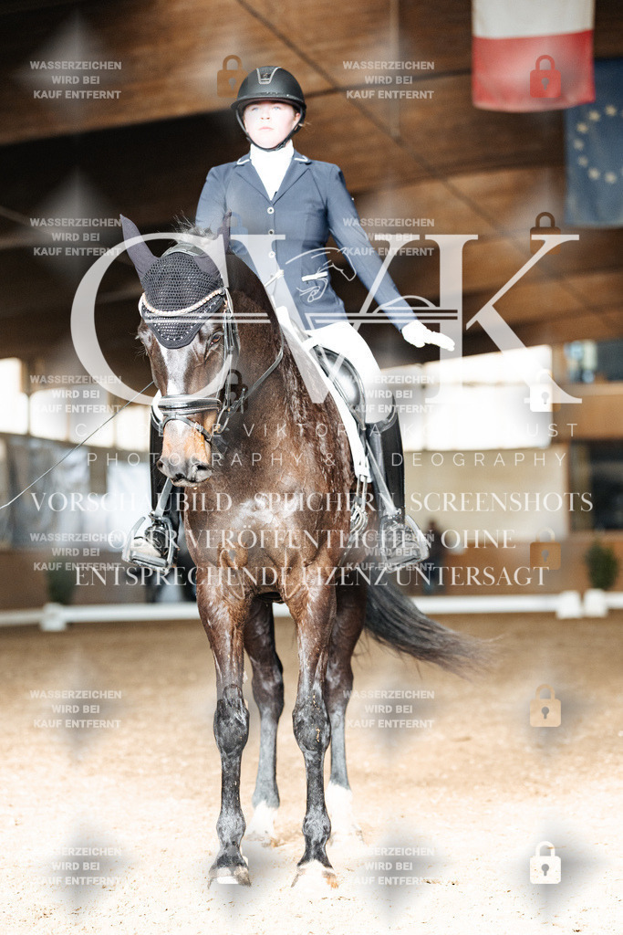 CK902304 | Turnierfotografie Pferdefotografie Trier Rheinland-Pfalz Pferdesport Reitsport Tierfotografie Sportfotografie Pferdevideo Pferdevideografie Equestrianvideography equestrianphotography  - Realisiert mit Pictrs.com