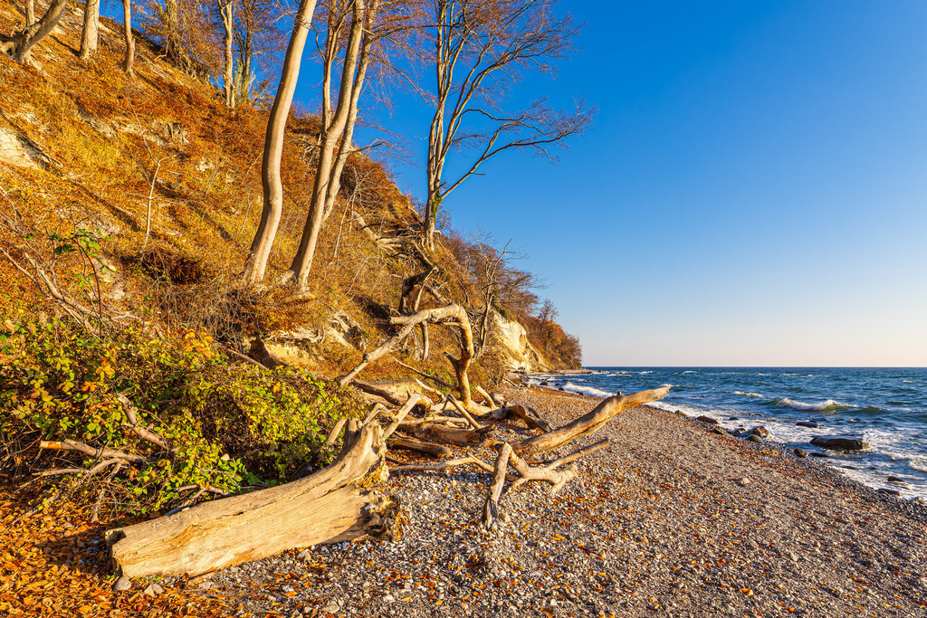 Kreidefelsen im Herbst an der Küste der Ostsee auf der Insel Rügen | Kreidefelsen im Herbst an der Küste der Ostsee auf der Insel Rügen.