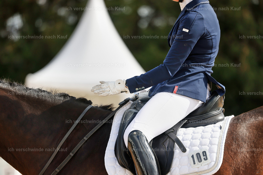 05-109-DRESSUR M_  -StoibPH-4931 | working equitationturnier fotograf videograf stoibphotography marixx film working equitation deutschland reitsport turnierfotografie eventfotografie equestrian events