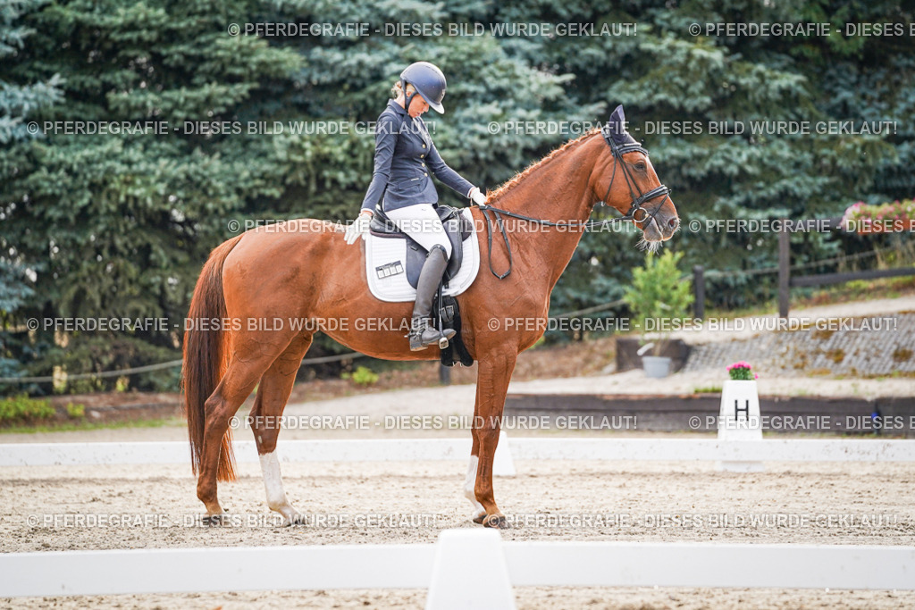 DSC00496 | Pferdegrafie