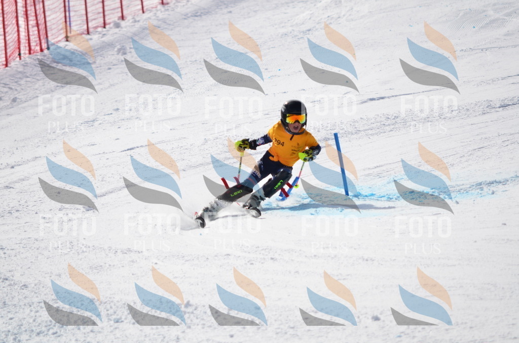 C8709 | holidayphoto