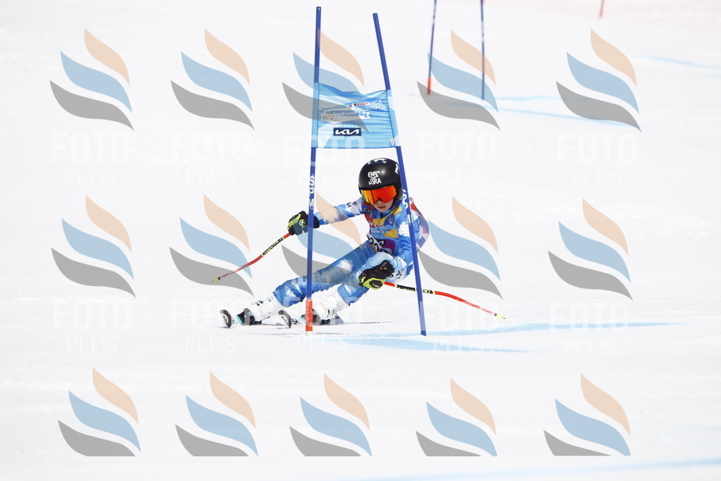 _U3G5201 | holidayphoto